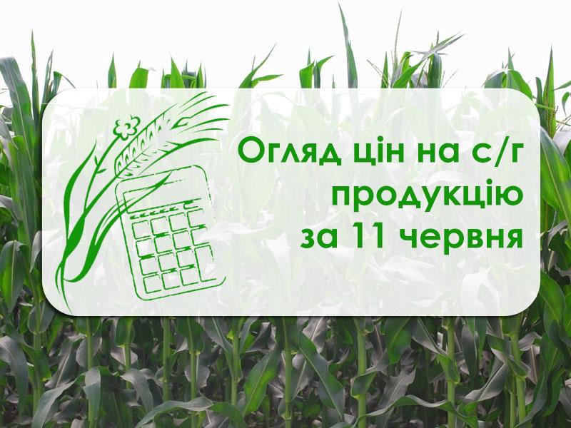 На Миколаївщині подешевшала соя — огляд цін на с/г продукцію за 11 червня