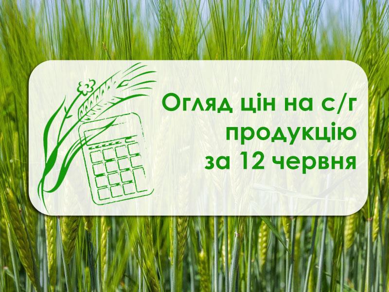 Пшениця 2 класу та кукурудза подорожчали — огляд цін на с/г продукцію за 12 червня