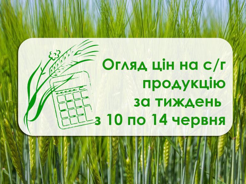 Як змінилася вартість пшениці, ячменю та сої — огляд цін на с/г продукцію з 10 по 14 червня