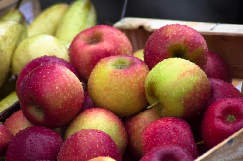 Індія припинила імпорт яблук із США — Україна може скористатися шансом на $300 млн