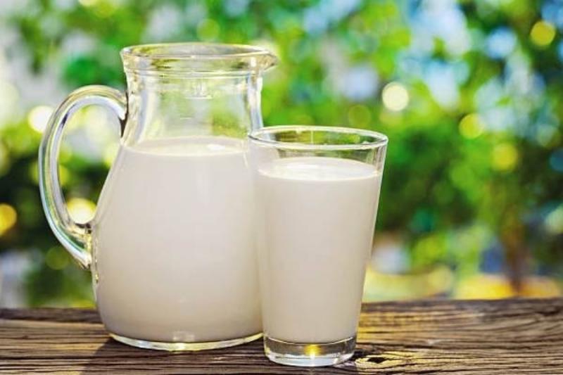 До 2040 року світове виробництво молока зросте на 45% — прогноз