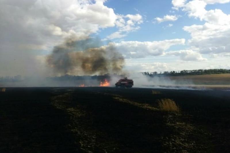 На Миколаївщині за півгодини загорілись два поля з пшеницею