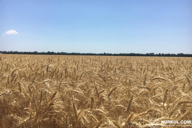 На Херсонщині намолотили перший мільйон зернових