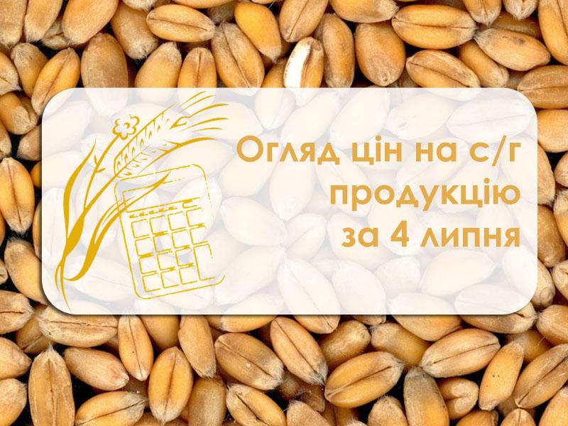 У порту Миколаївської області зросла вартість соняшнику — огляд цін на с/г продукцію за 4 липня 