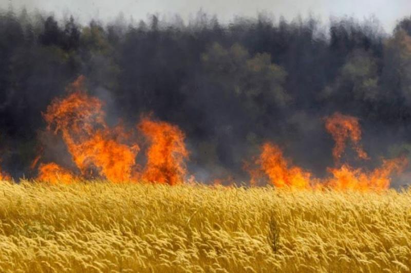 На Кіровоградщині палало 19 га пшениці