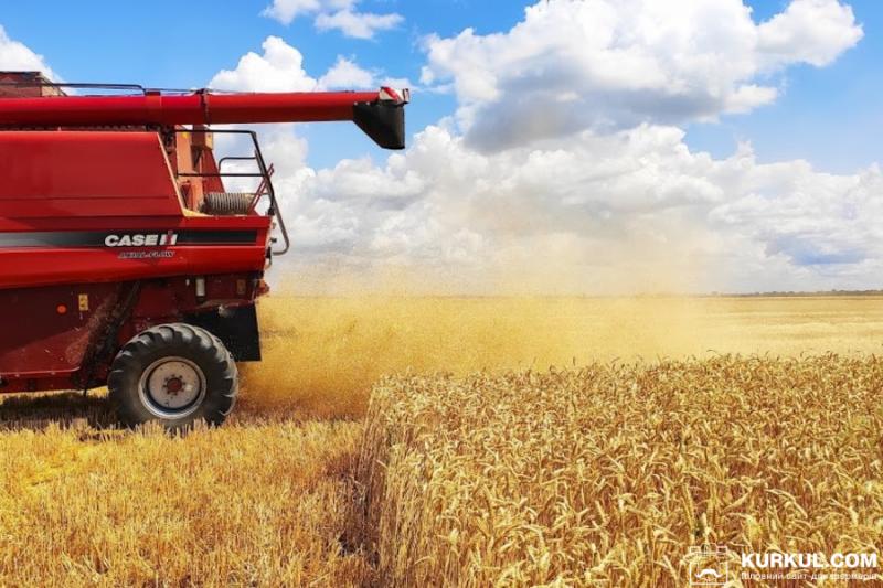 В Україні зібрали 40% зернових нового врожаю