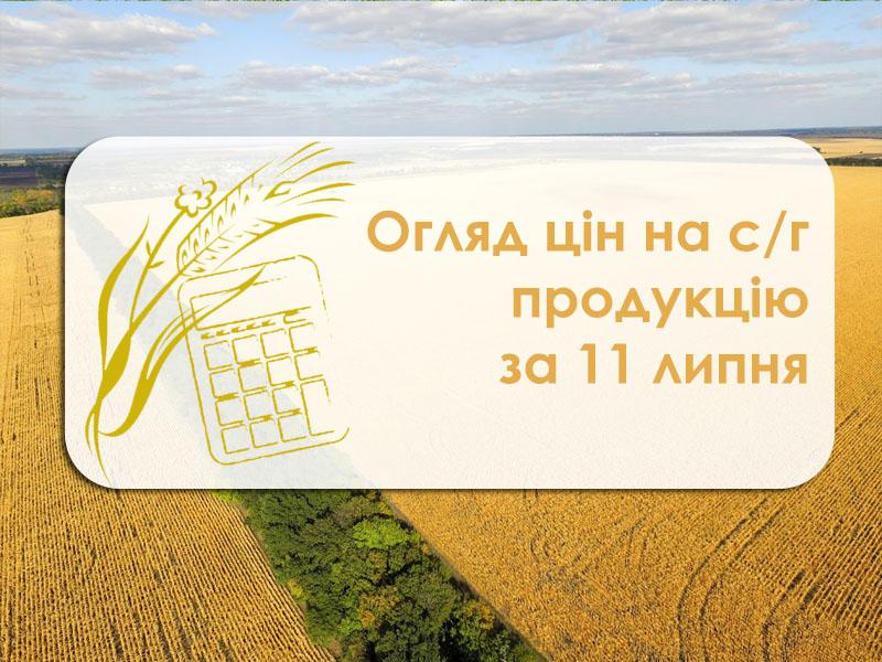 Пшениця та ріпак дешевшають — огляд цін на с/г продукцію за 11 липня 