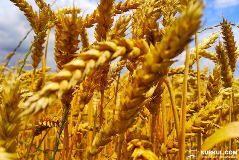 Херсонські хлібороби намолотили 2 млн тонн ранніх зернових