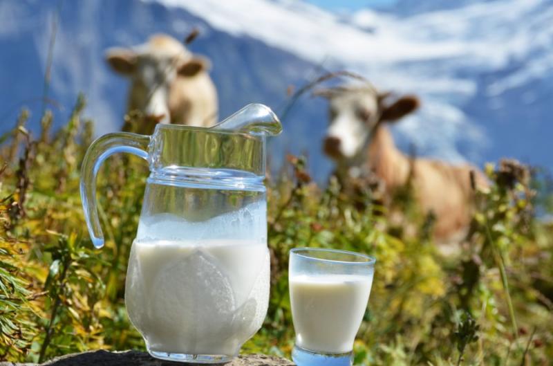 В Україні зафіксували стрімке зростання цін на молоко
