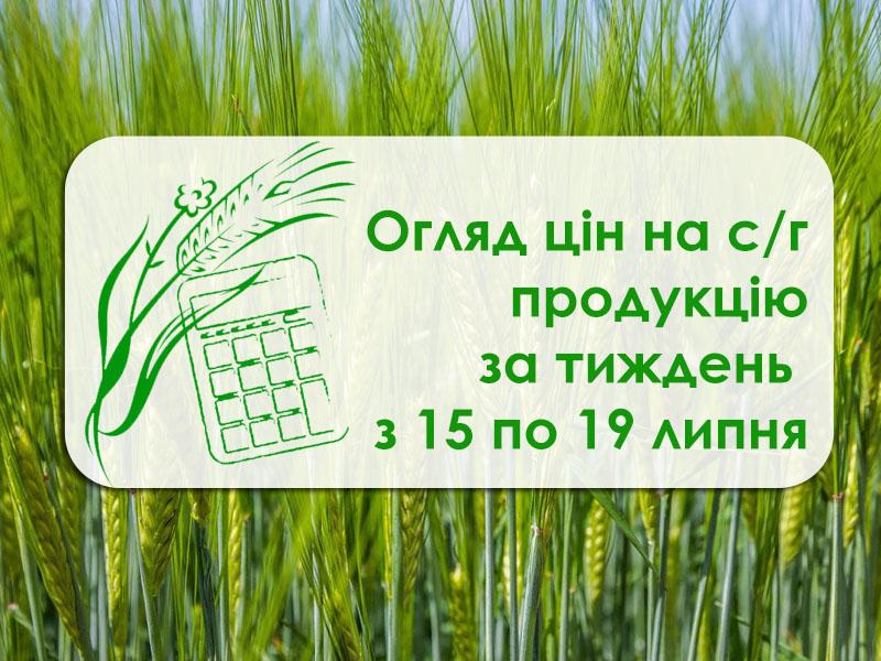 Як змінилася вартість пшениці, кукурудзи та ріпаку за тиждень — огляд цін з 15 по 19 липня