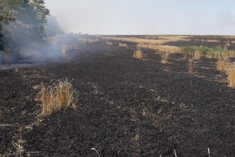 На Донбасі згоріло фермерське поле з пшеницею
