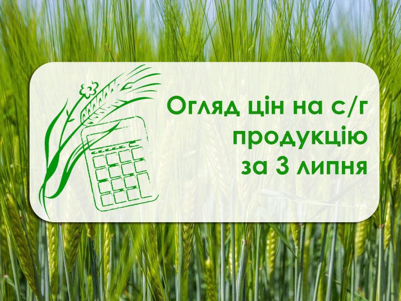 У порту Миколаївської області зросла вартість пшениці та ріпаку — огляд цін на с/г продукцію за 23 липня 