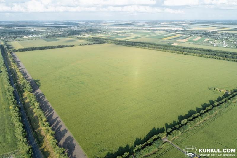 Бельгійський фермер може зазнати збитків у 20 млн грн через дії місцевого РЕМ