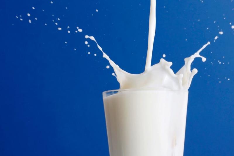 Рівень прибутковості молока у липні встановив рекорд