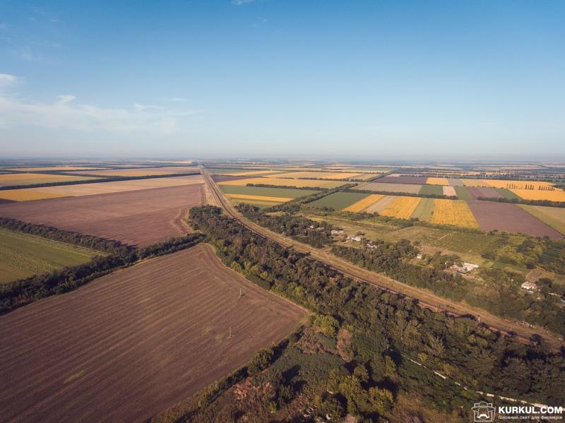 Мартинюк кришує земельну «мафію» в Україні — Дубінський