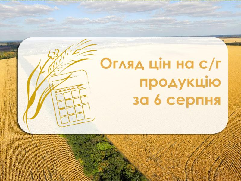 Як змінилась вартість зернових та олійних — огляд цін на с/г продукцію за 6 серпня 