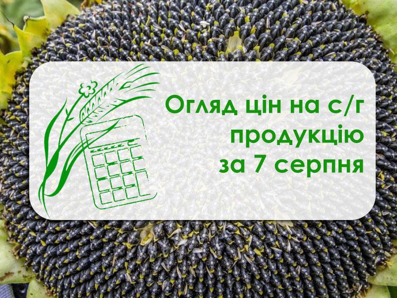 В Україні подешевшав соняшник — огляд цін на с/г продукцію за 7 серпня 