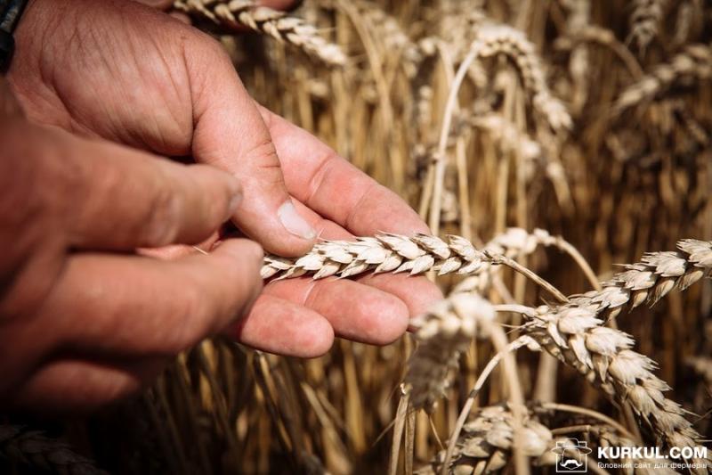 Аграрії завершують збирання пшениці — Урожай онлайн 2019
