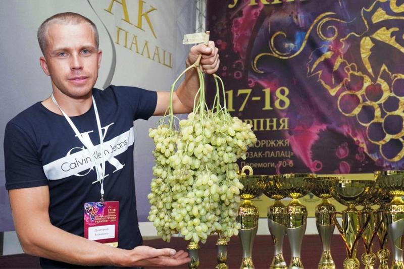 Дмитро Ткаченко, переможець конкурсу «Диво-виноград»