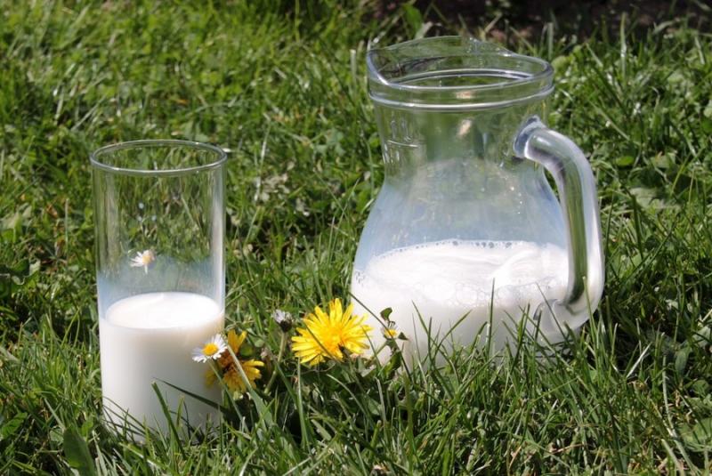 В Україні скоротилося надходження молока на переробку