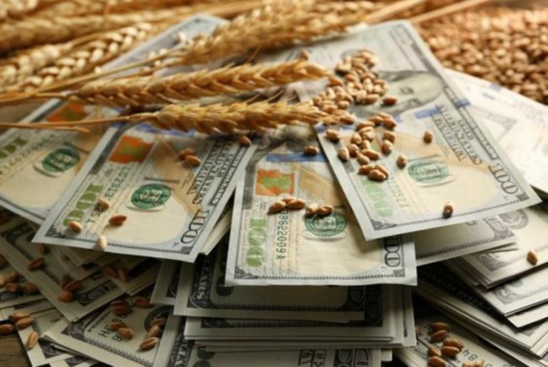 Керівник держпідприємства незаконно реалізував зернові на 1,2 млн грн
