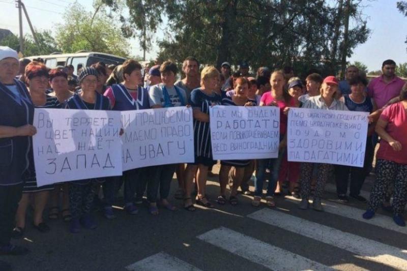 Винороби Одещини провели подвійну акцію протесту