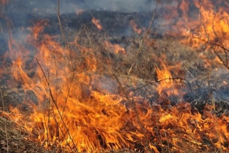 В Україні оголосили найвищий рівень пожежної небезпеки