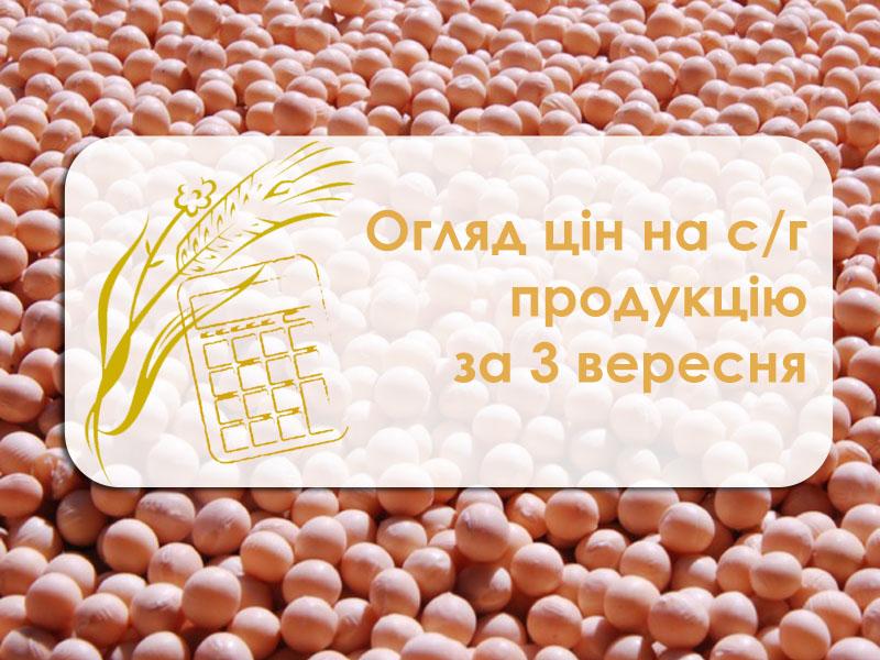 В Україні подешевшав ріпак — огляд цін на с/г продукцію за 3 вересня