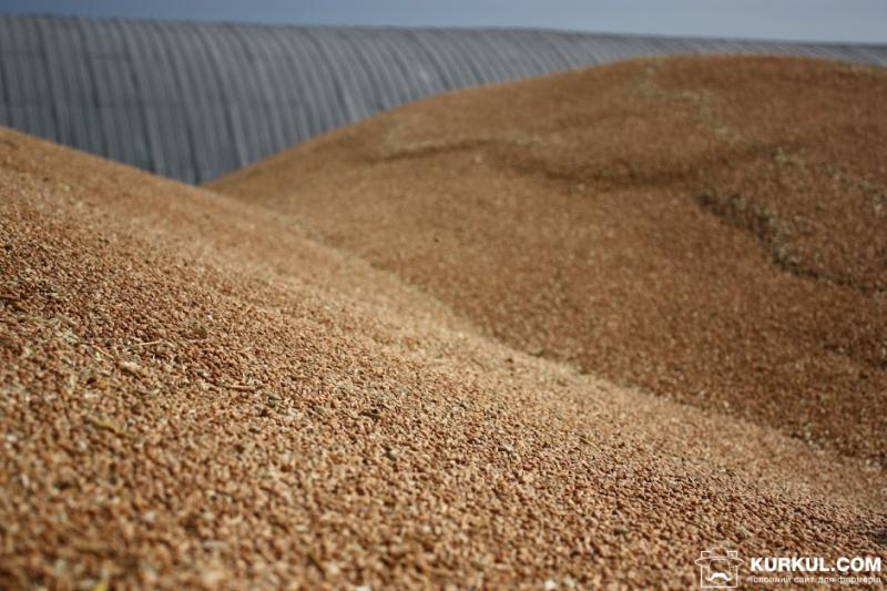 ФАО збільшила світовий прогноз виробництва зернових 