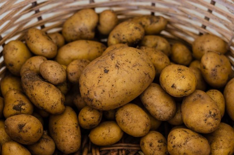 Ціна картоплі зросте втричі — Томич