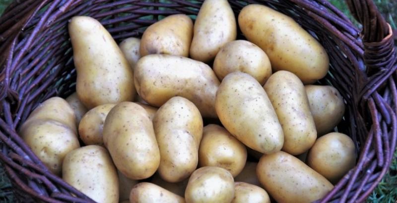Картопля побила 10-річний ціновий рекорд