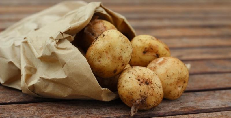 Імпорт картоплі в Україну майже в 5 разів перевищив експорт