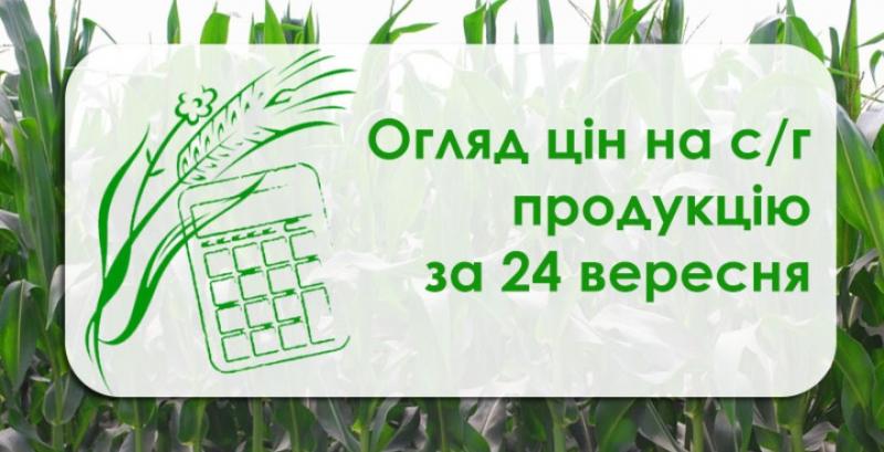 В Україні подешевшав ячмінь — огляд цін на с/г продукцію за 24 вересня