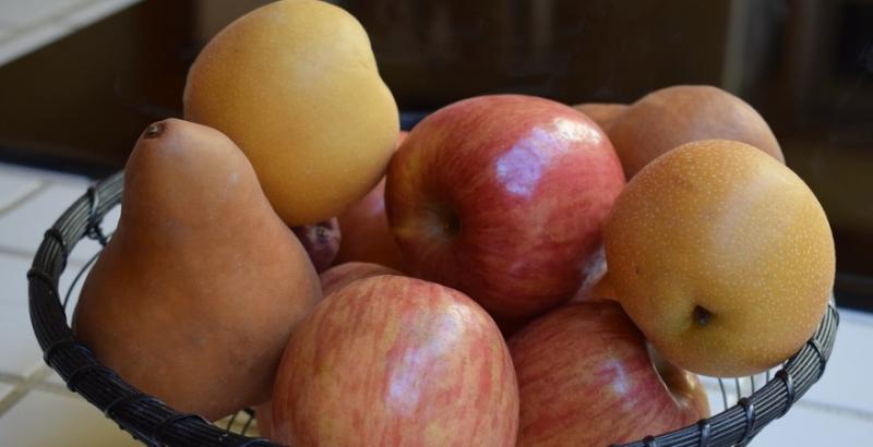 Заморозки можуть погіршити якість фруктів — прогноз