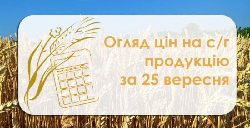 В Україні подешевшав соняшник — огляд цін на с/г продукцію за 25 вересня