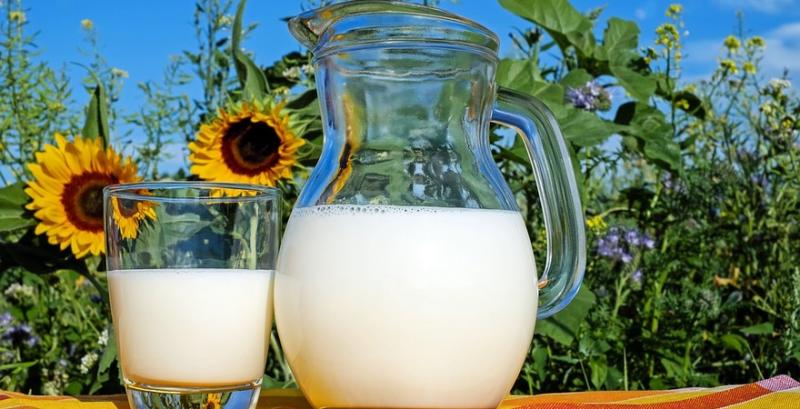 Виробництво молока В Україні може скоротитися на 12%