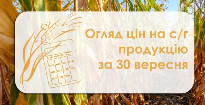Пшениця, кукурудза та ячмінь подорожчали — огляд цін на с/г продукцію за 30 вересня