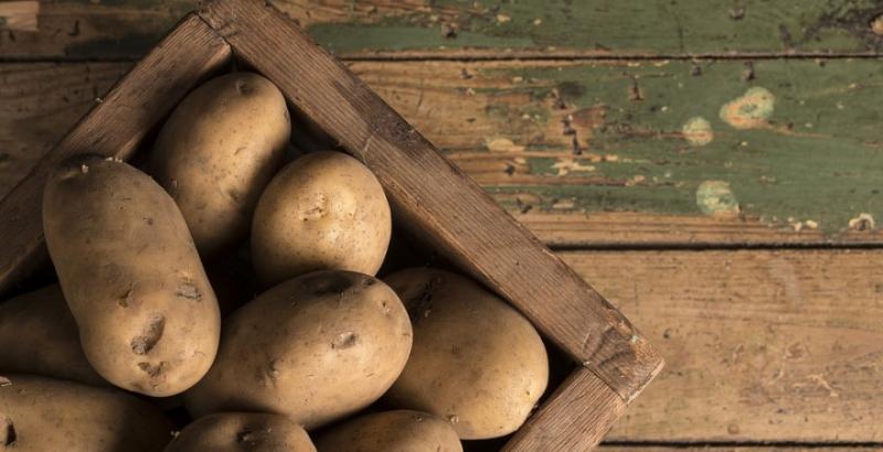 За два тижні ціни на картоплю в Україні зросли втричі