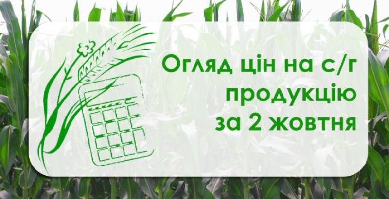 Пшениця та соняшник подорожчали — огляд цін на с/г продукцію за 2 жовтня
