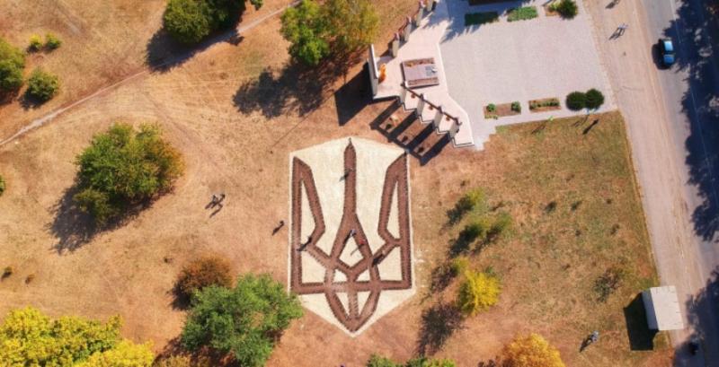 На Дніпропетровщині висадили дерева у формі герба України