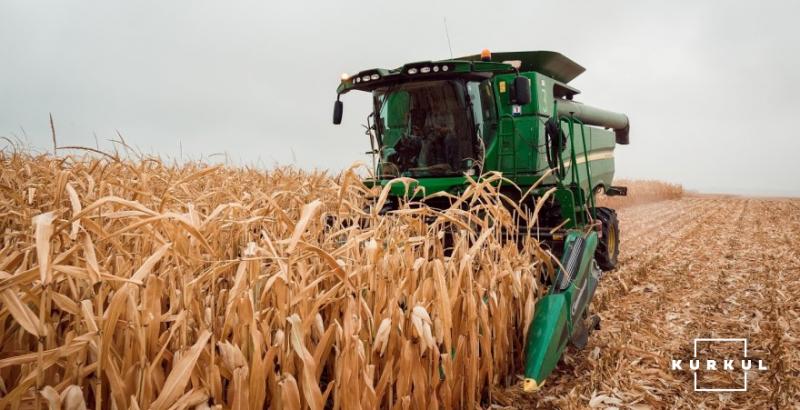 В Україні на 11% збільшилась середня врожайність зернових