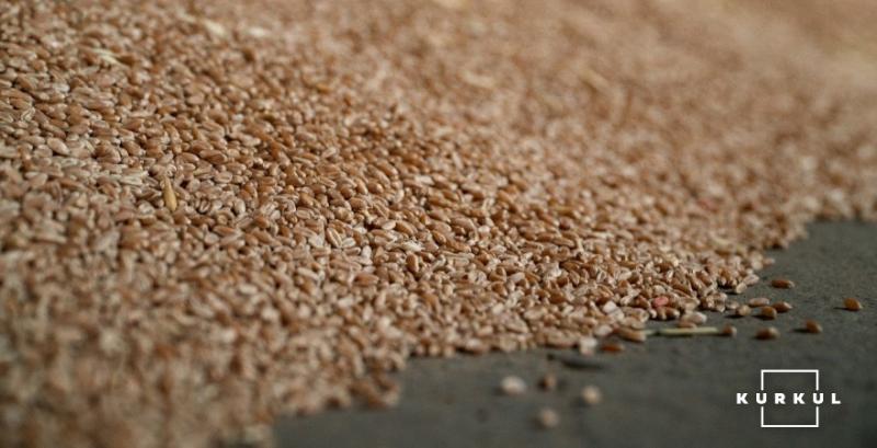 Єгипет закупив майже 300 тисяч тонн Чорноморської пшениці