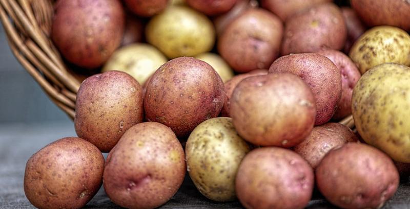 У наступному році на картоплю чекає обвал ціни