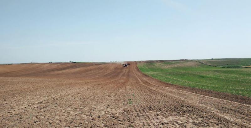 В Україні фіксують сповільнення процесу деградації ґрунтів