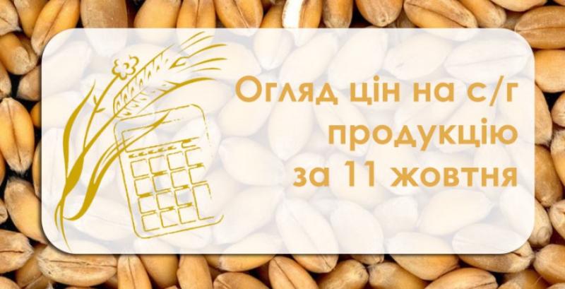В Україні подешевшав соняшник — огляд цін на с/г продукцію за 11 жовтня