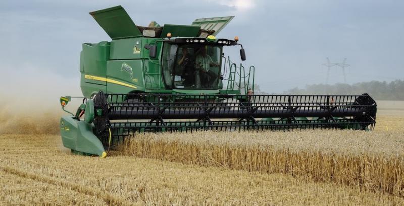 Експорт пшениці у вересні склав 3,8 млн т