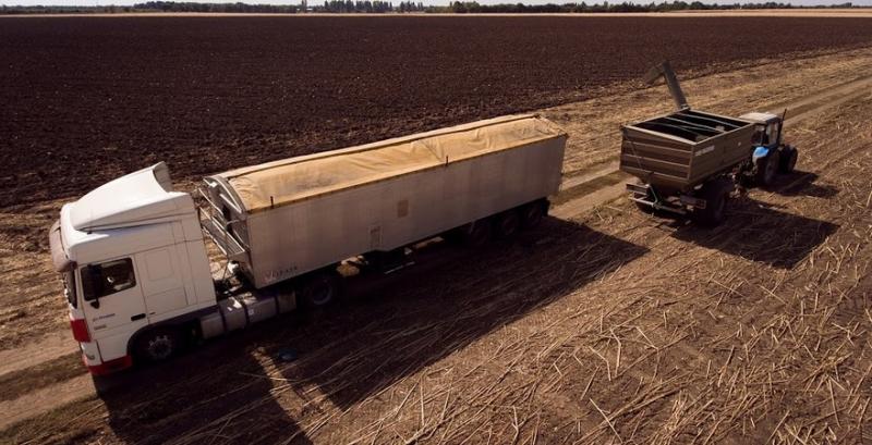 За рік тарифи на перевезення зерна зросли майже на 4%