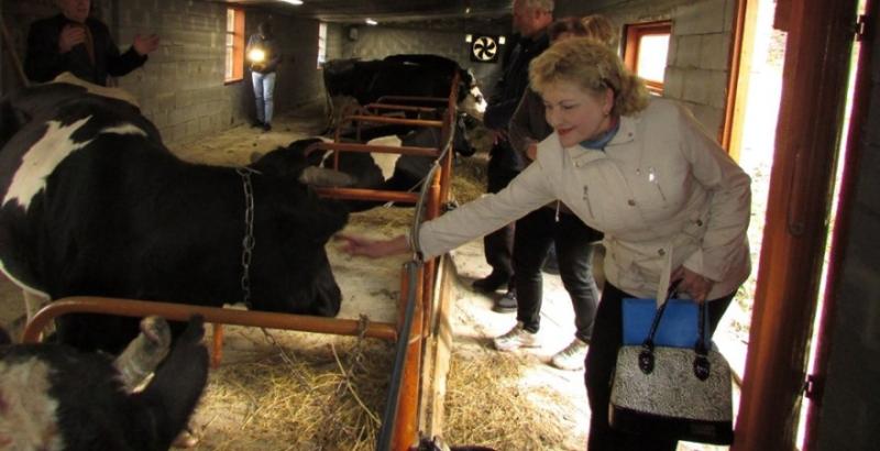 На Хмельниччині відкрили родинну молочну ферму