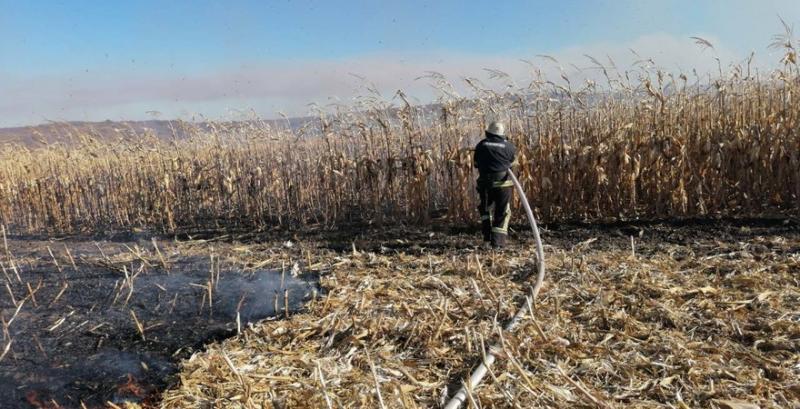 Рятувальники ліквідували загорання кукурудзяного поля на Київщині