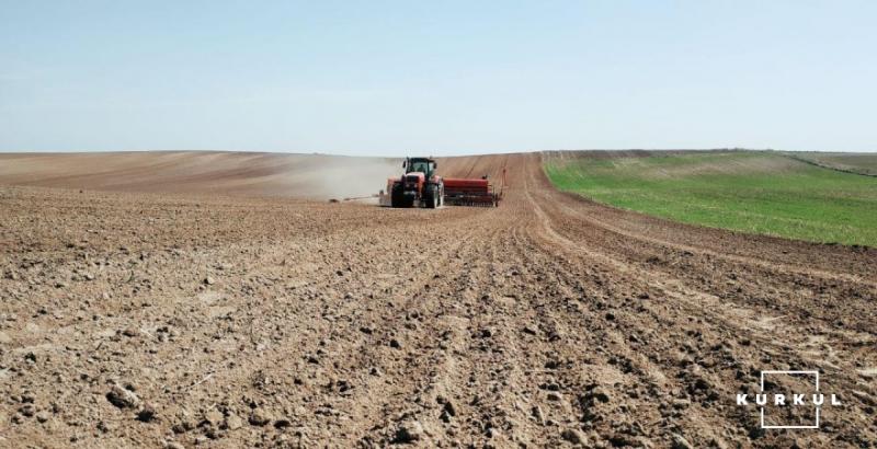 В Україні залишилося засіяти 10% площ під озимою пшеницею 